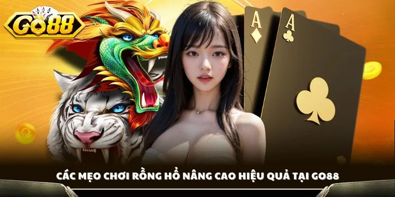 Kinh Nghiệm Chơi Rồng Hổ - Bí Quyết Thắng Lớn Từ Cao Thủ Go88 3 Các mẹo chơi Rồng Hổ nâng cao hiệu quả tại GO88